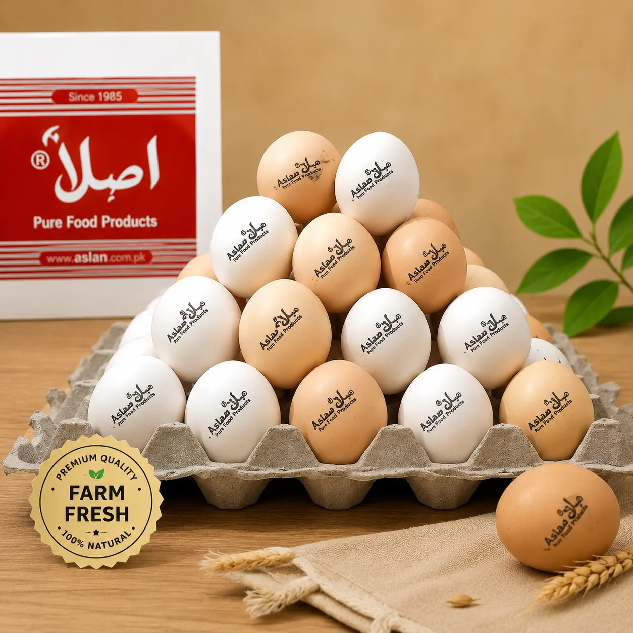 Egg