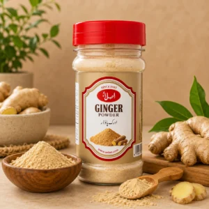 Aslan Ginger Powder 100 GM